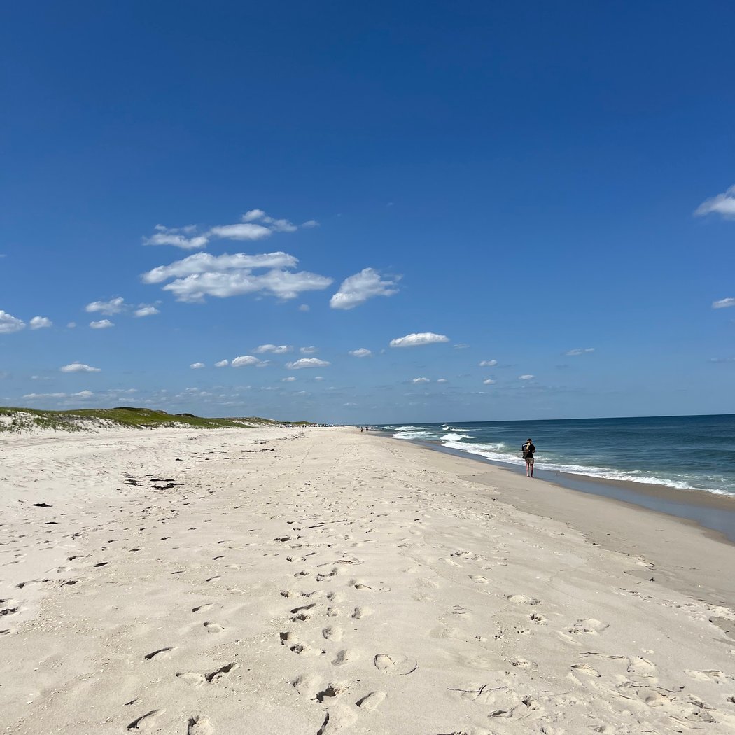 Island Beach State Park 2