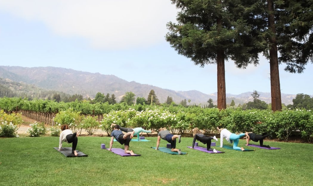 Iyengar Yoga In the Napa 1