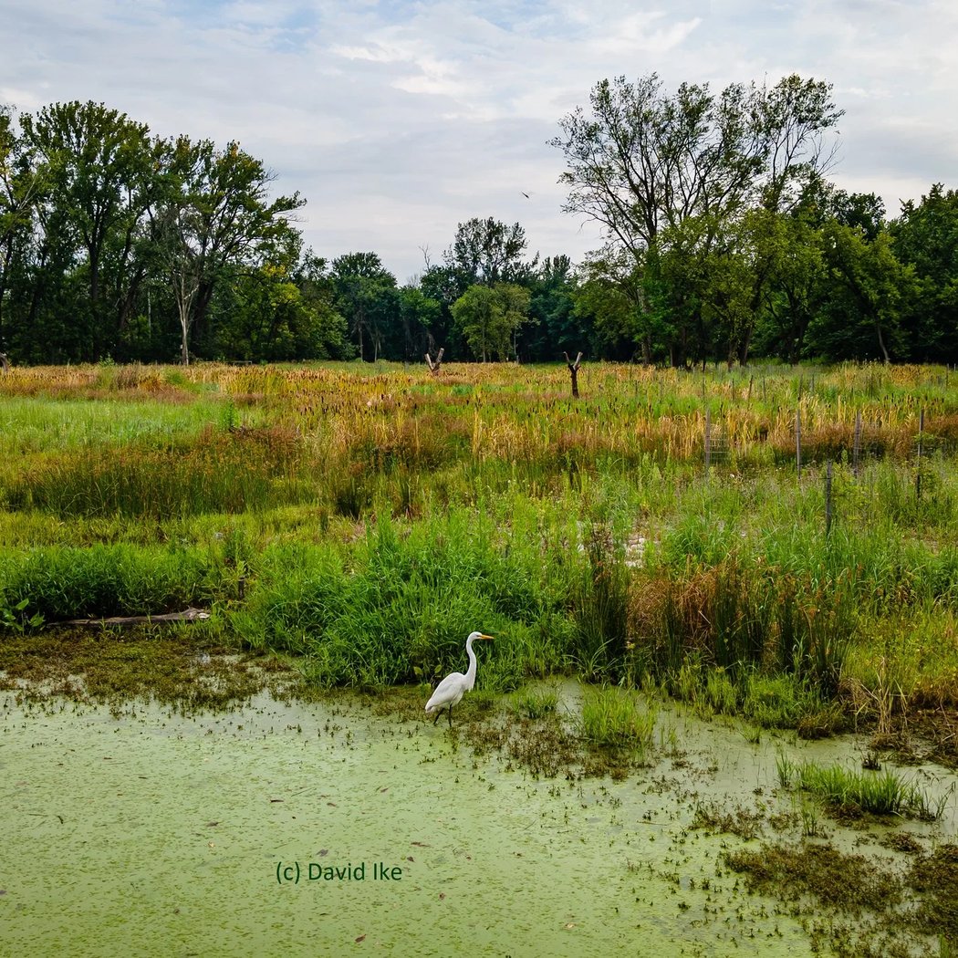 Teaneck Creek Conservancy 1