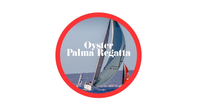 Oyster Palma Regatta 1