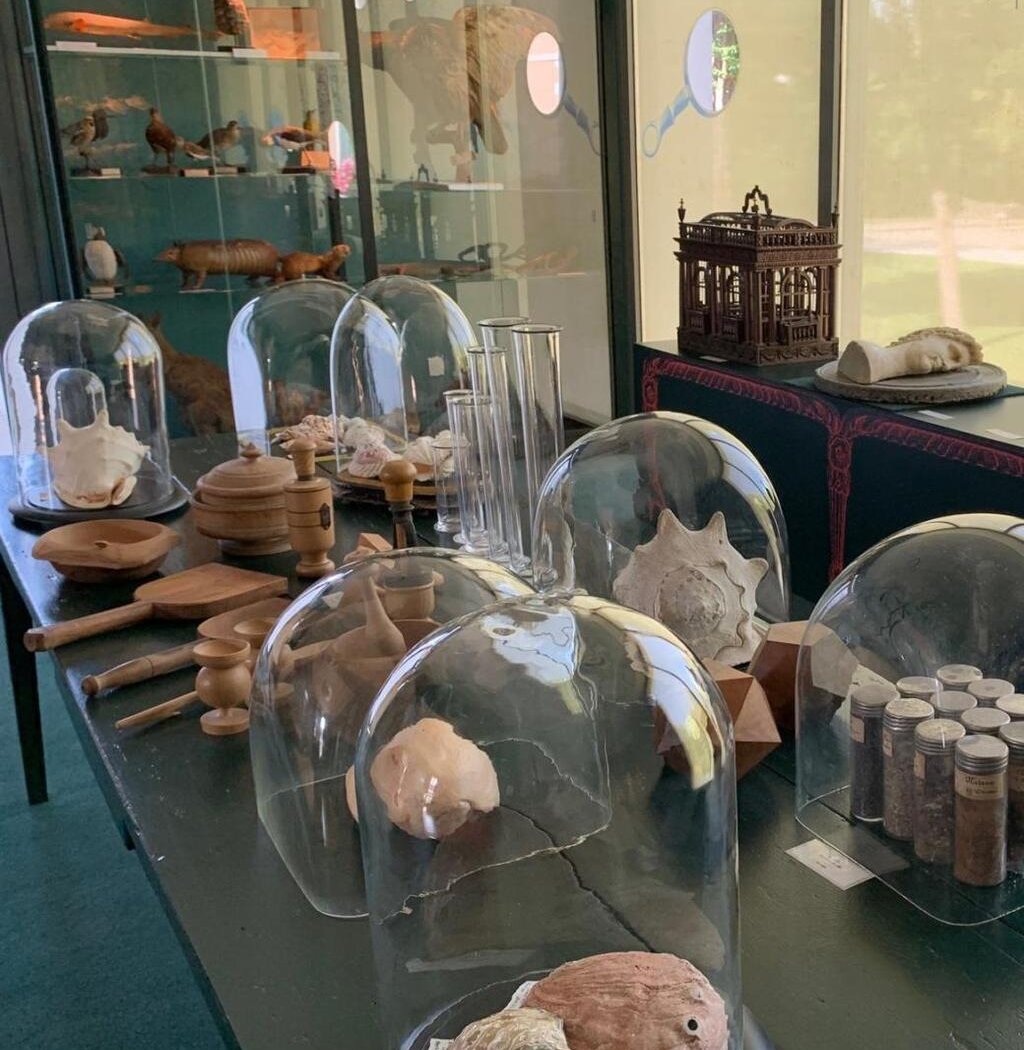 Cabinet de curiosités 1