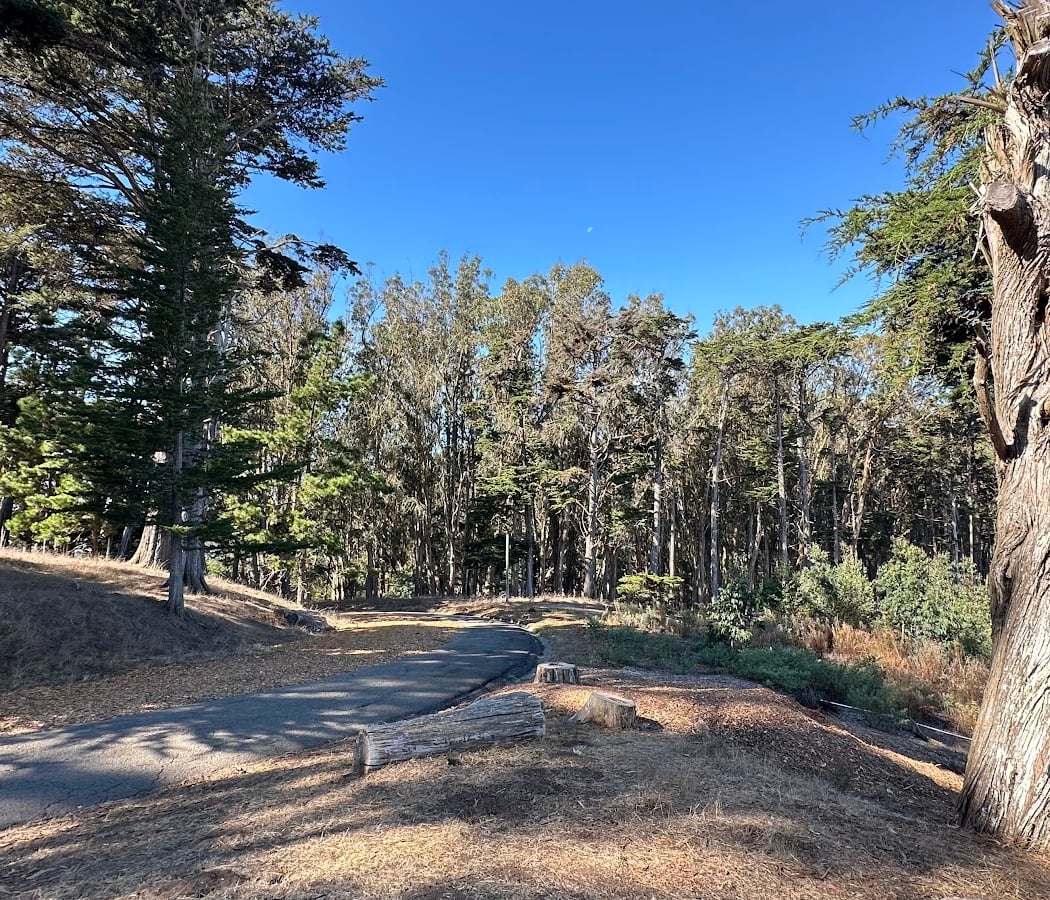 Interactive Celebration of Coyotes in the Presidio 1