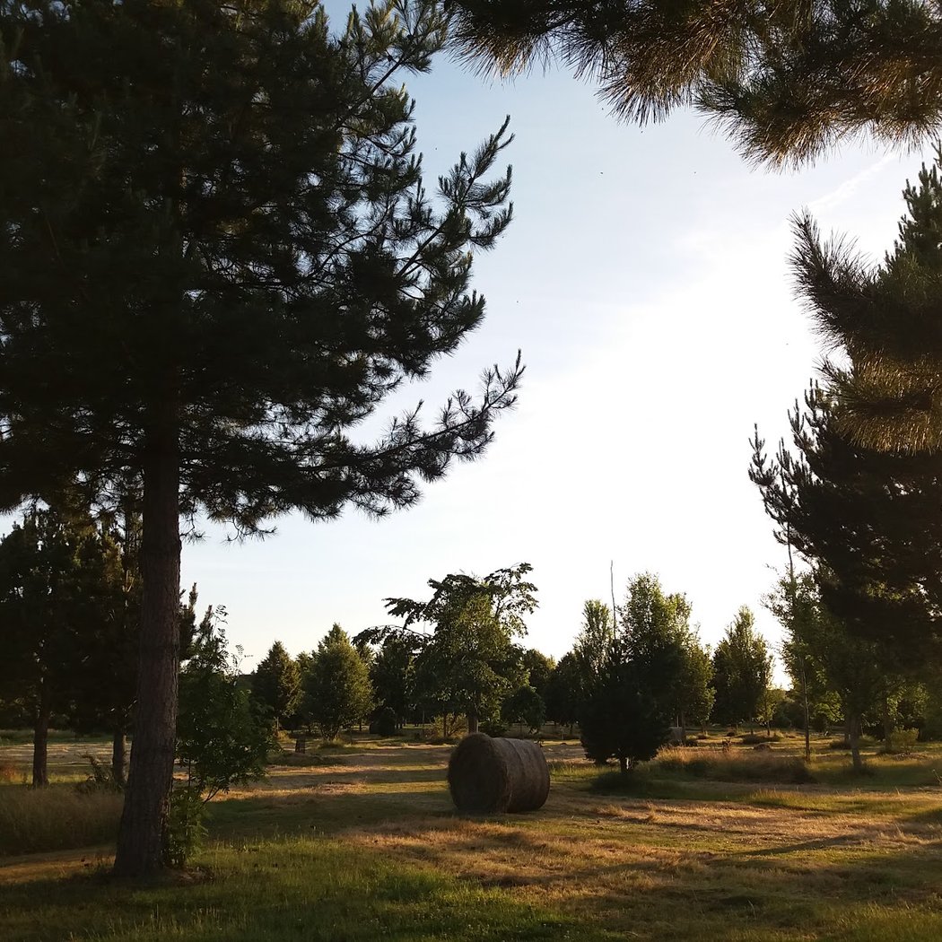 Arboretum de la Petite Loiterie 3