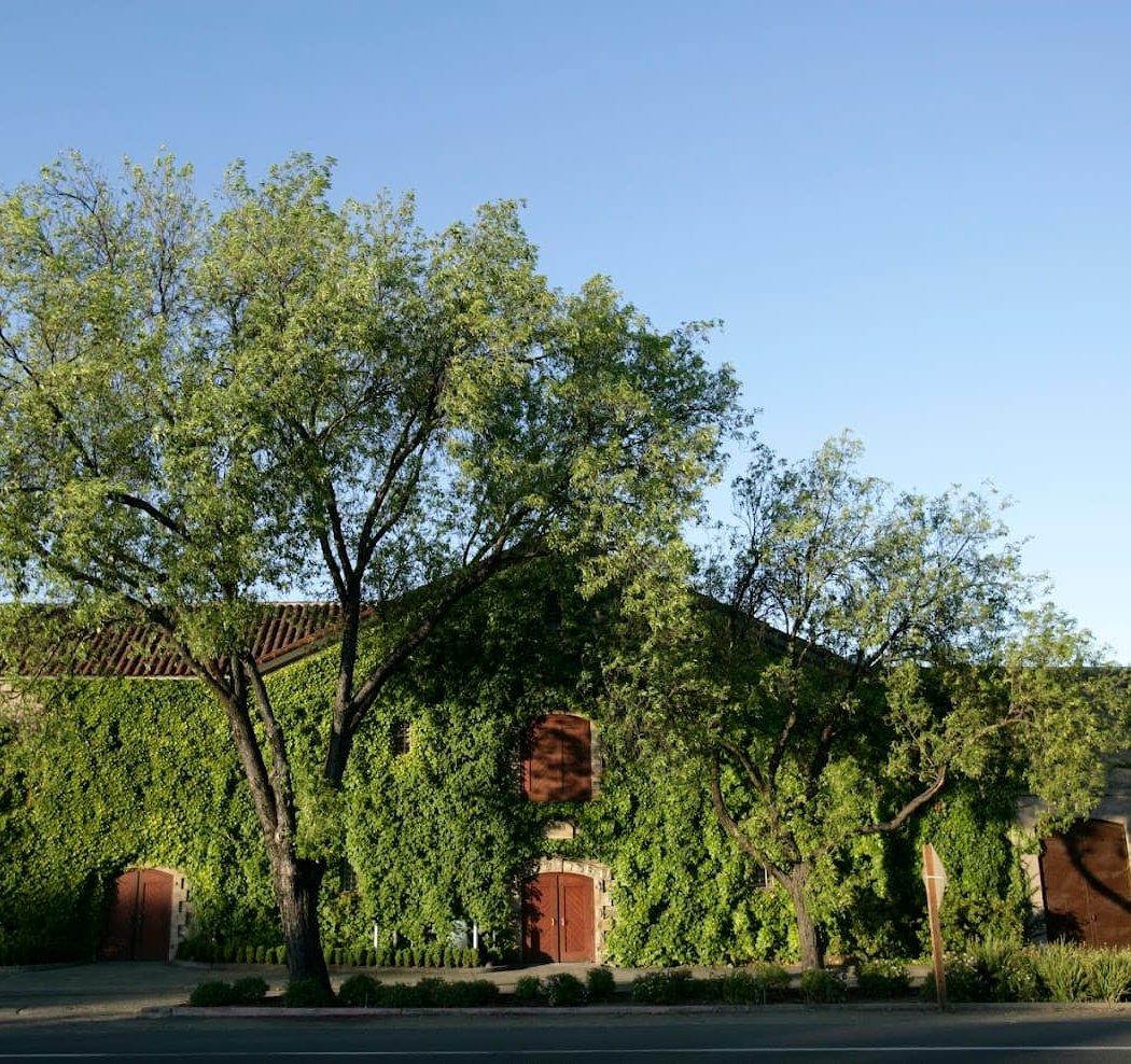 Beaulieu Vineyard 2