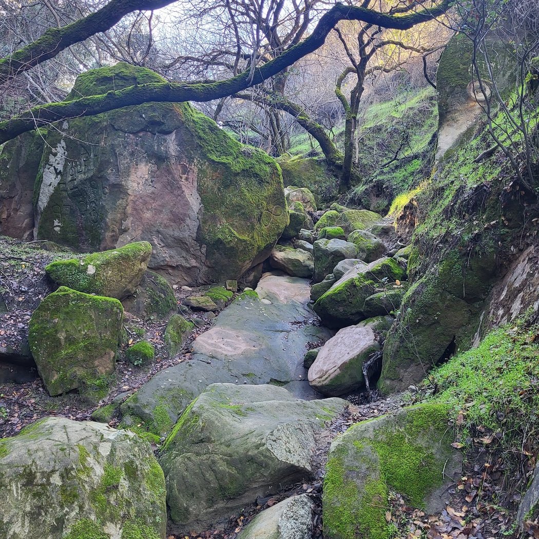 Black Diamond Mine 1