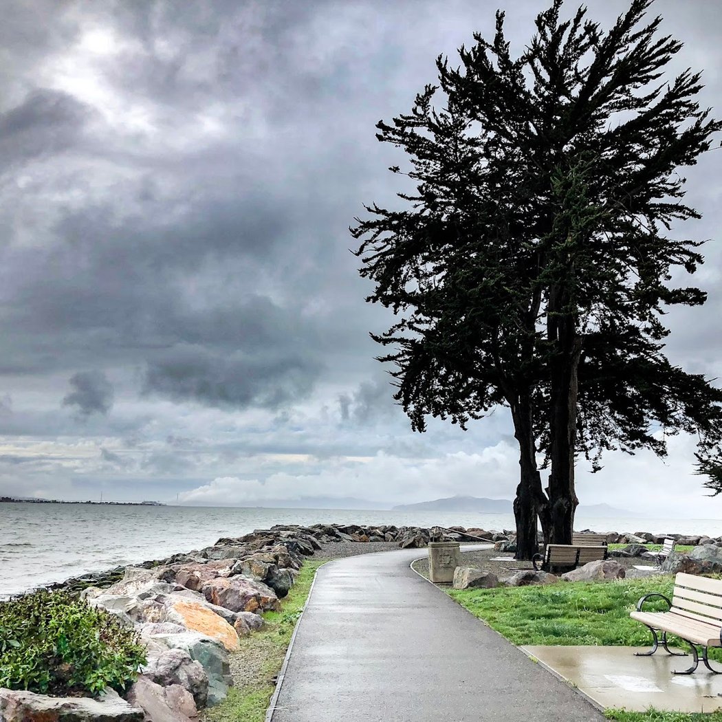 Emeryville Crescent State Marine Reserve 1