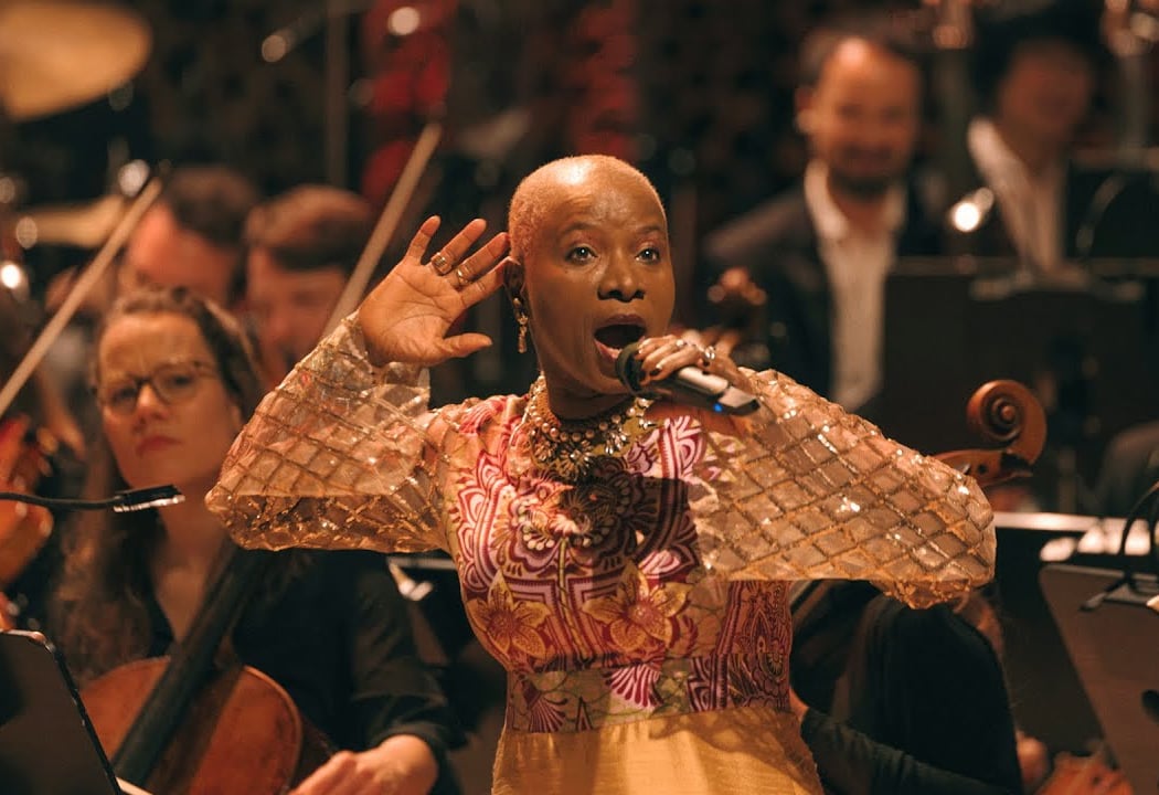 Angélique Kidjo at SummerStage 4