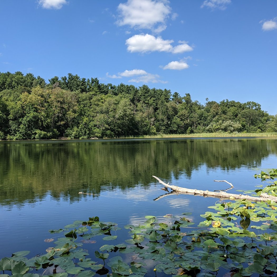 Saginaw Forest Trailhead 1