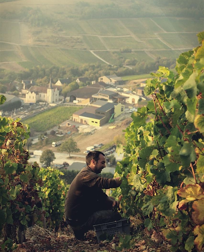 Domaine Henri Bourgeois Sancerre Dinner