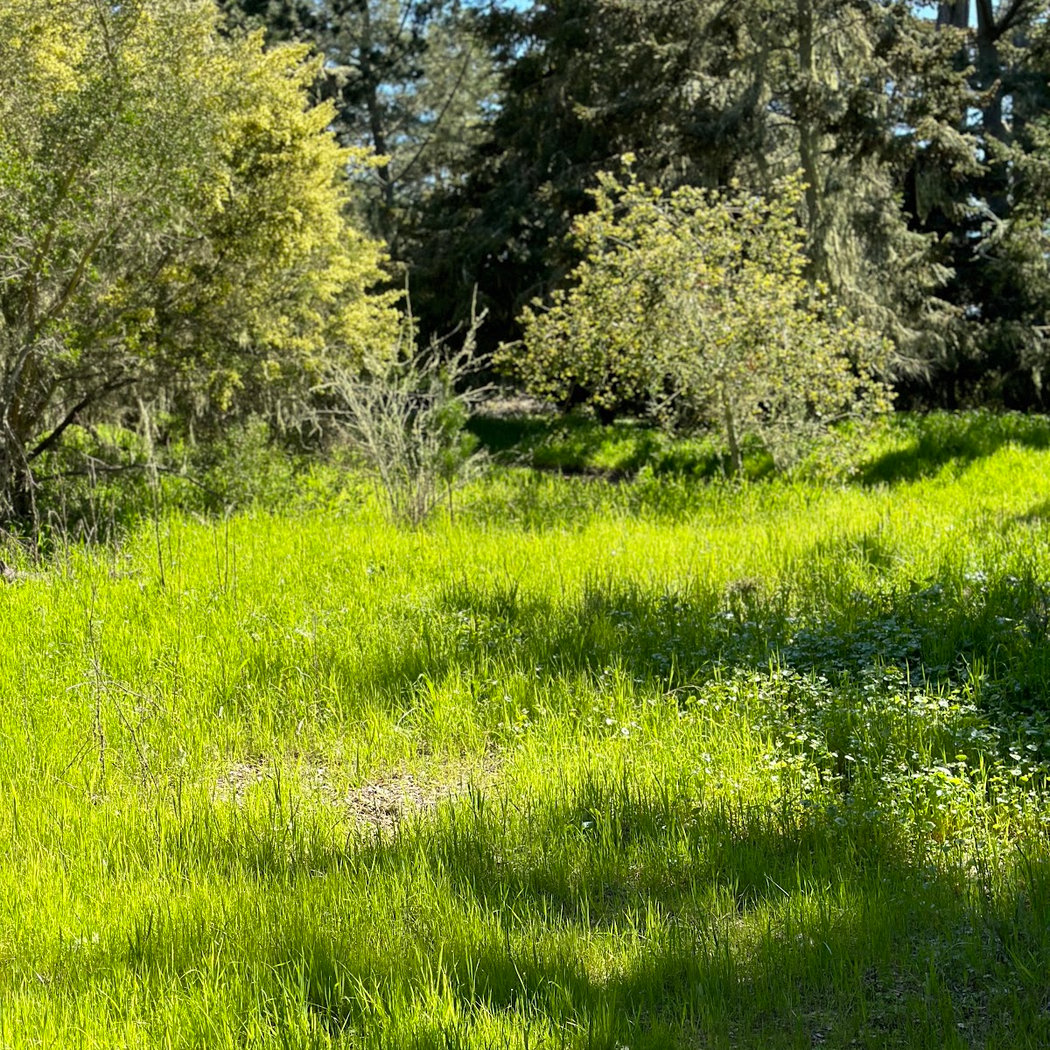 Elk Glen Picnic Area 1