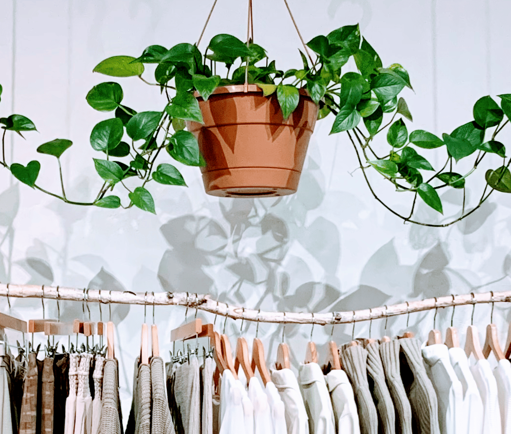 Boutique Dandelion 1