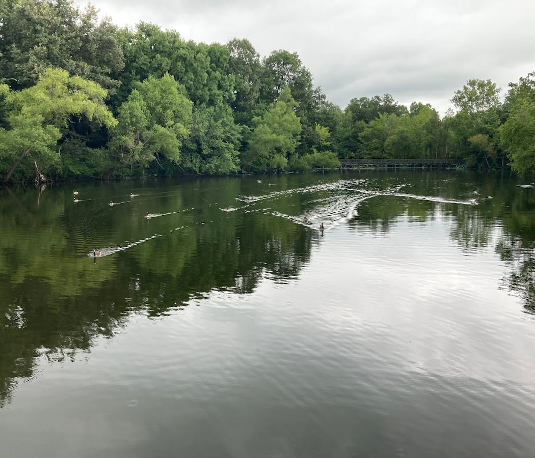 Lichterman Nature Center 2