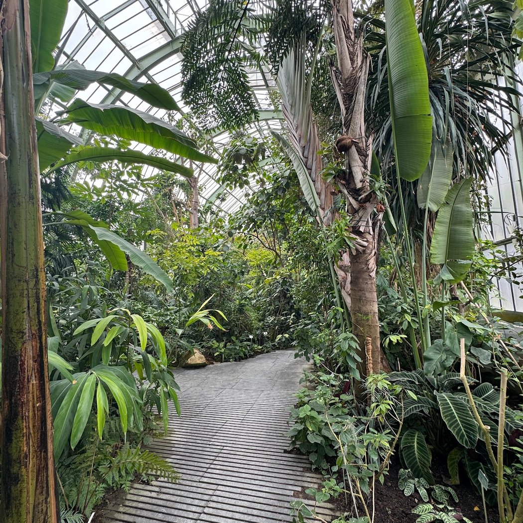 Automne tropical 1
