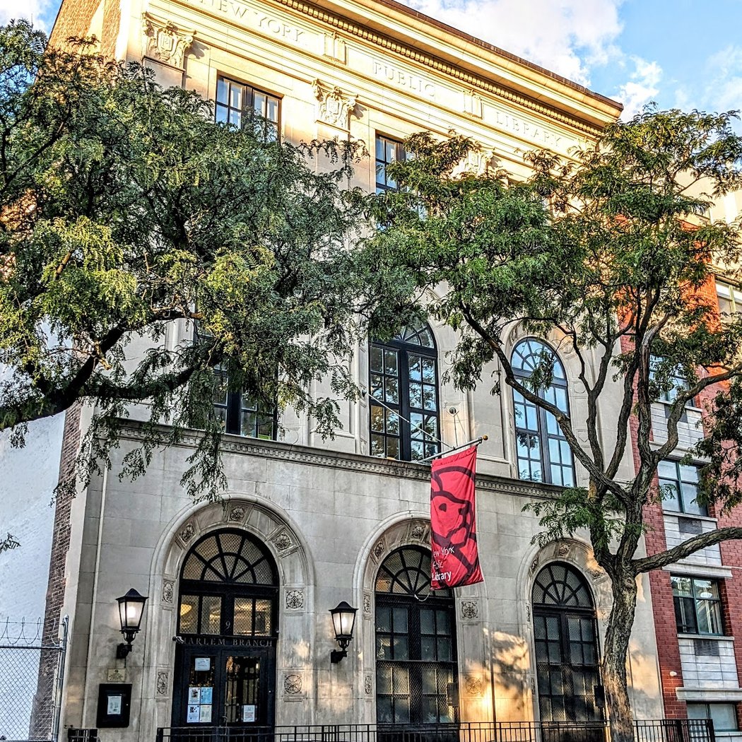 Lil Studio Harlem Library 3