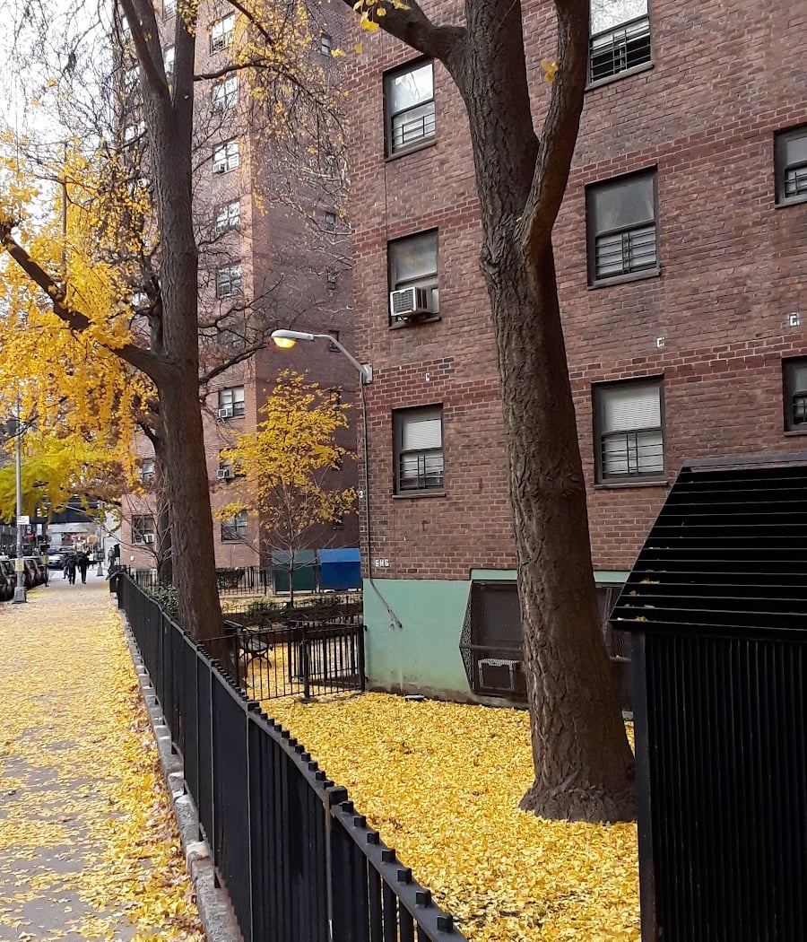 New York City Housing Authority Chelsea/Elliot Community Center 2
