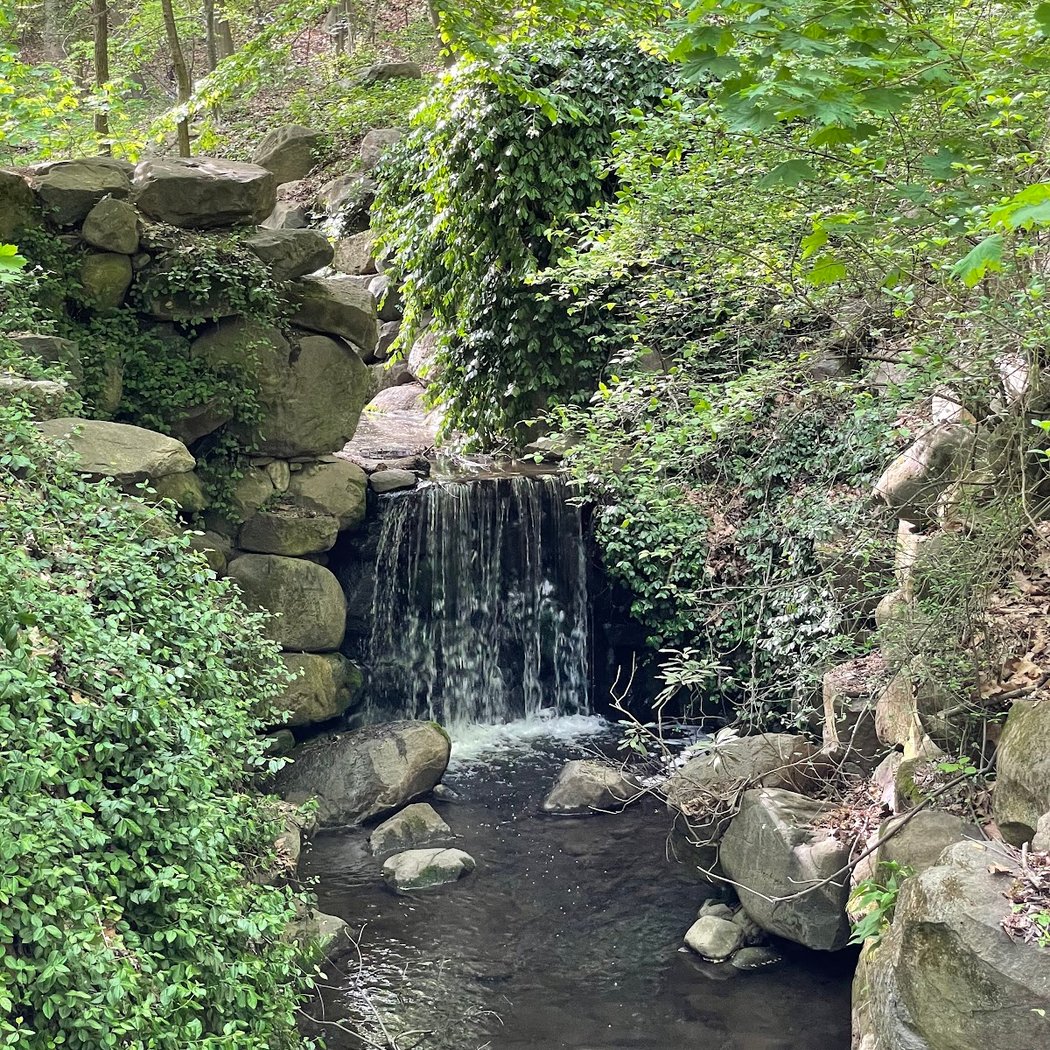 The Ravine 1