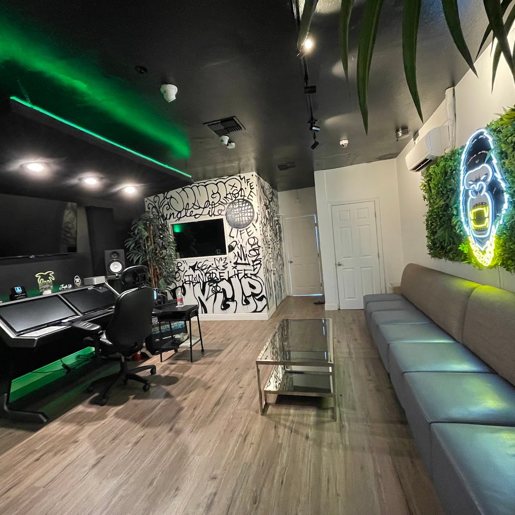 Jungle Life Studio 1