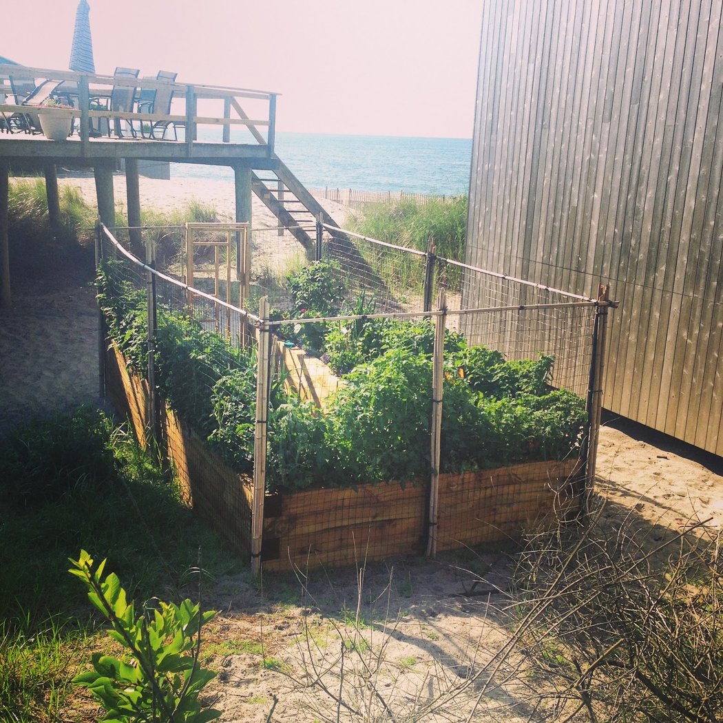 Fire Island Pines 3