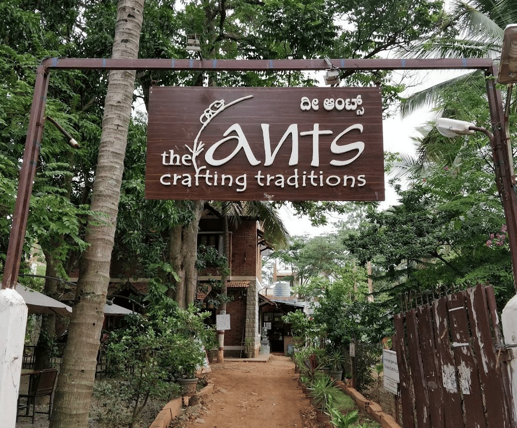 The Ants Store and cafe 2