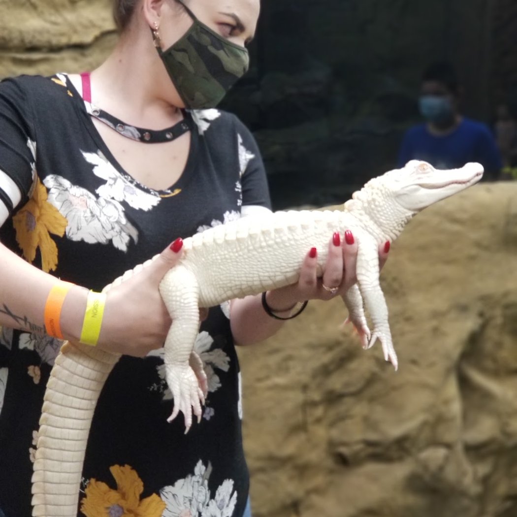 Junior Zookeeper 3