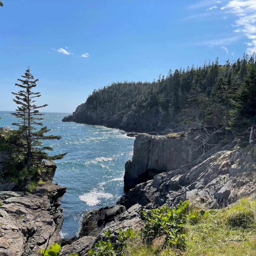 Quoddy Head State Park 2