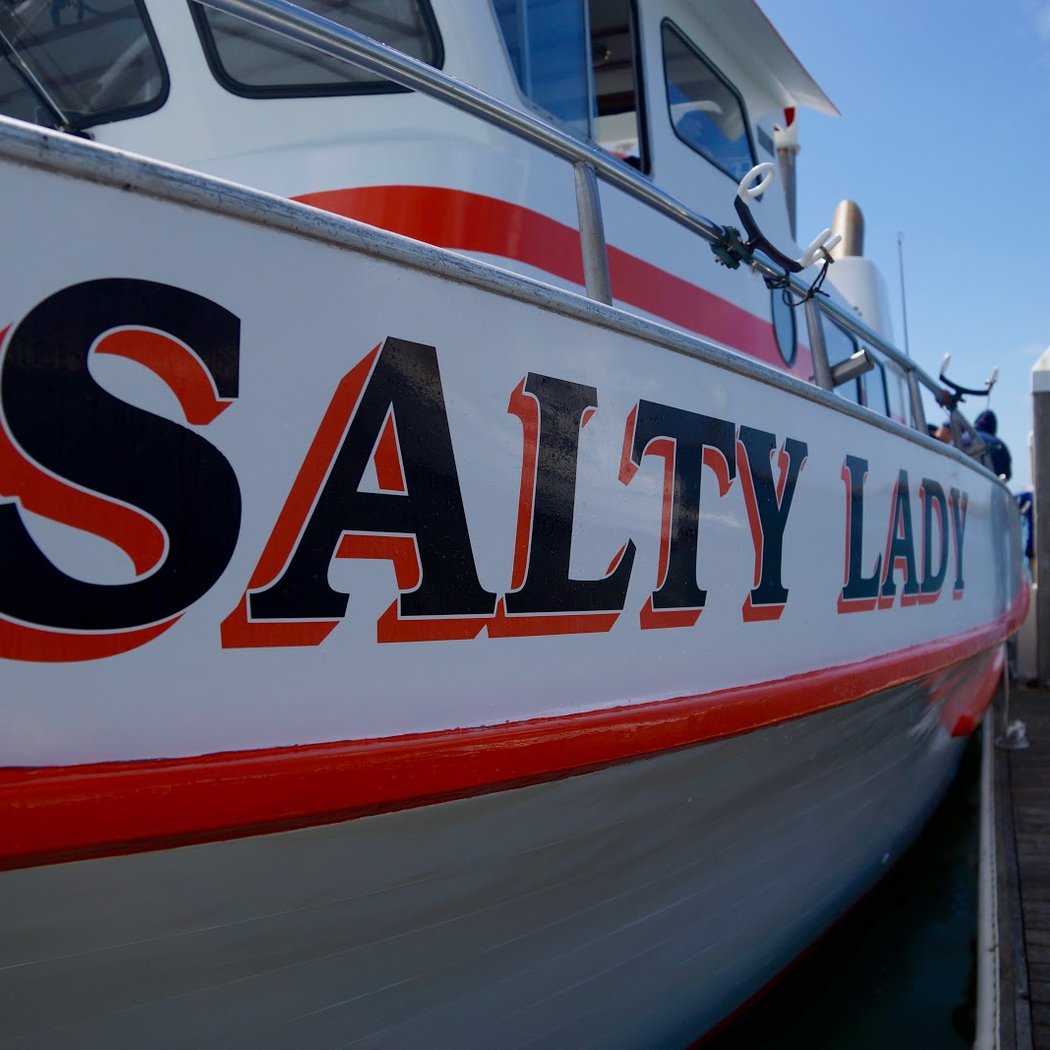 Salty Lady Sportfishing 2
