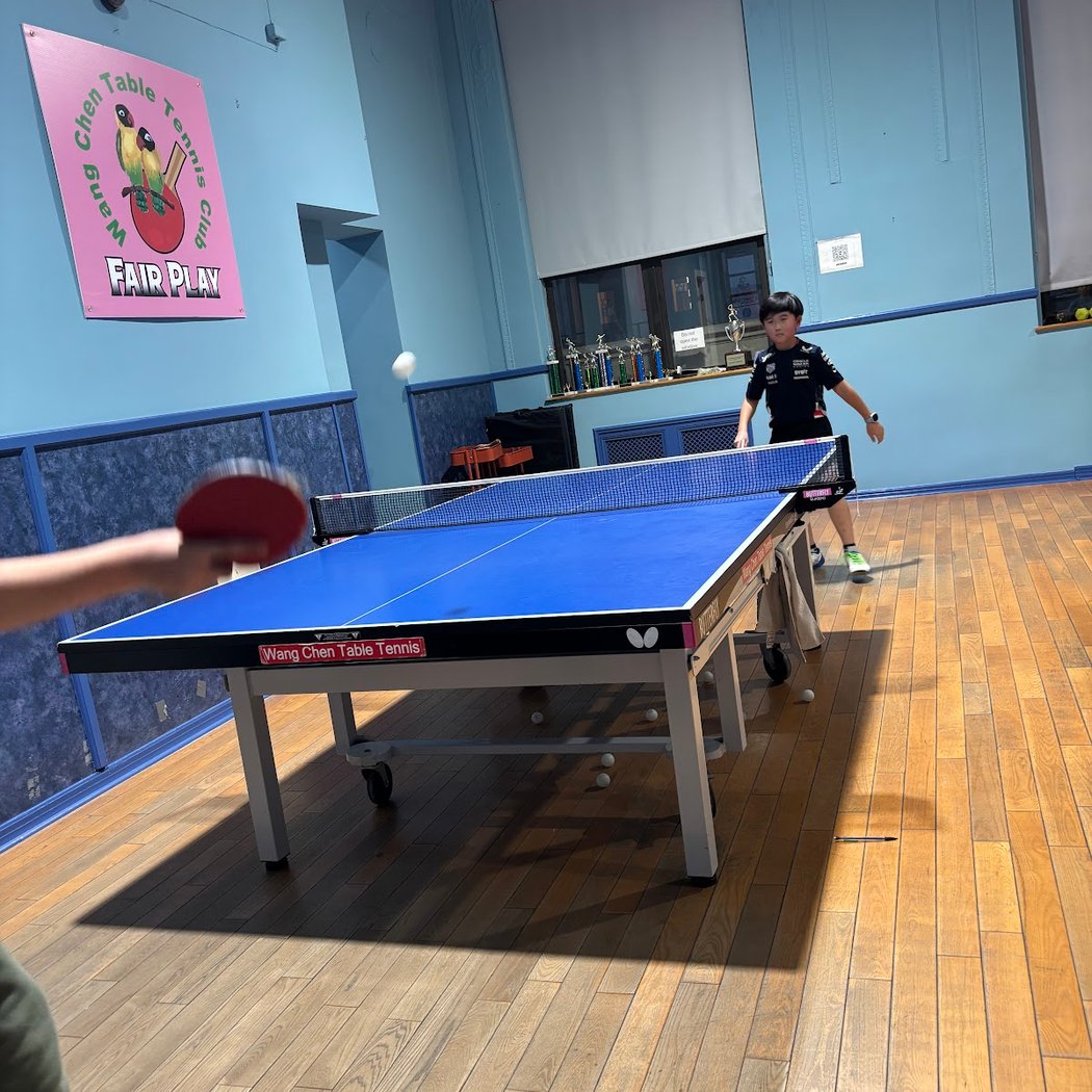 Wang Chen Table Tennis Club 2