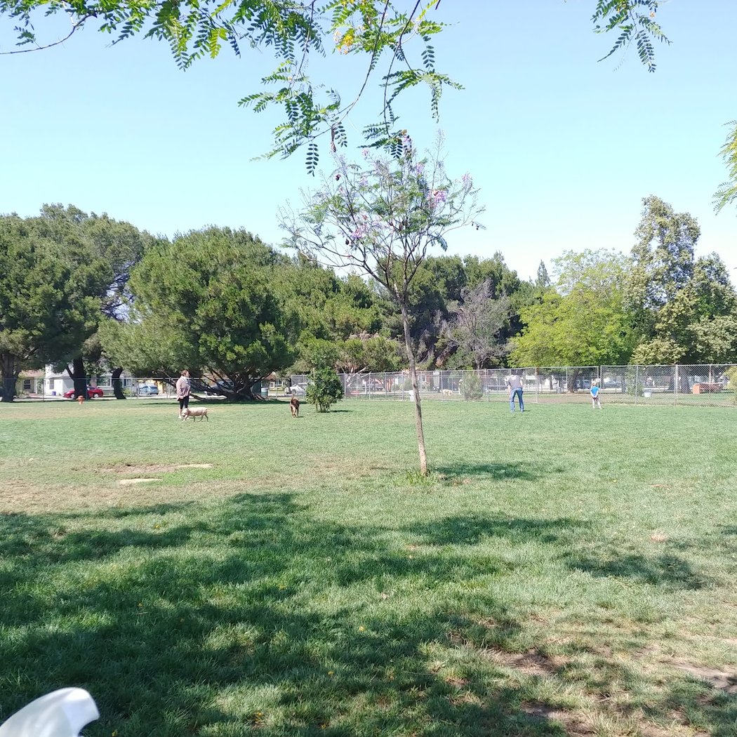 Sepulveda Basin Off-Leash Dog Park 3