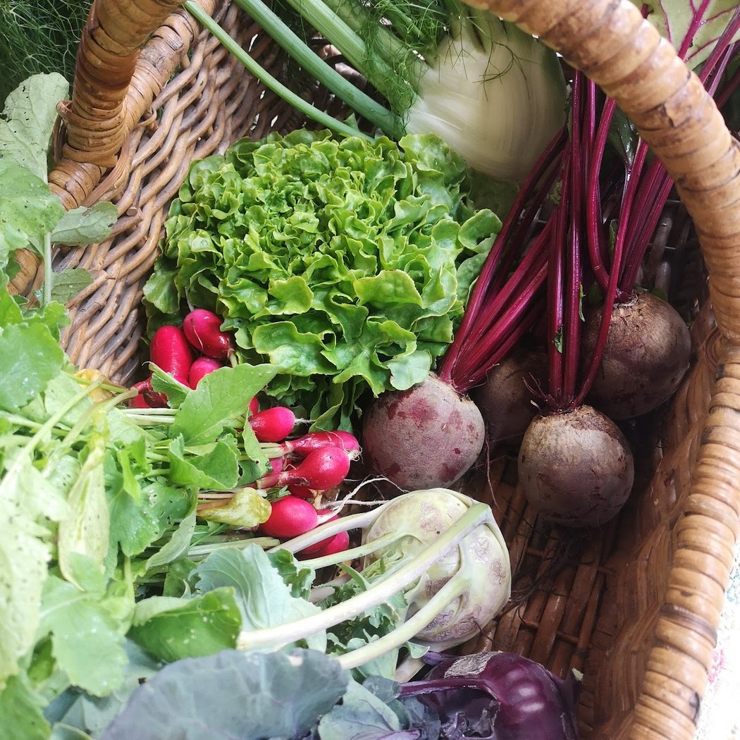 Sauvages et Cultivées 2
