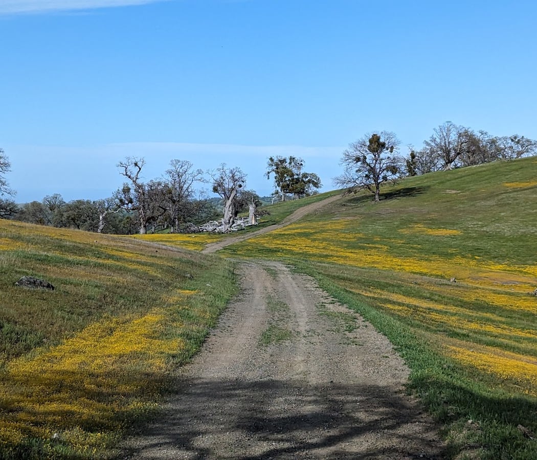 Rose Peak 2