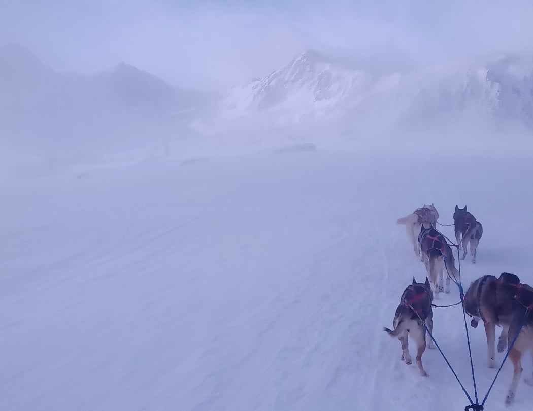 Les traineaux de la vallée des ours 2