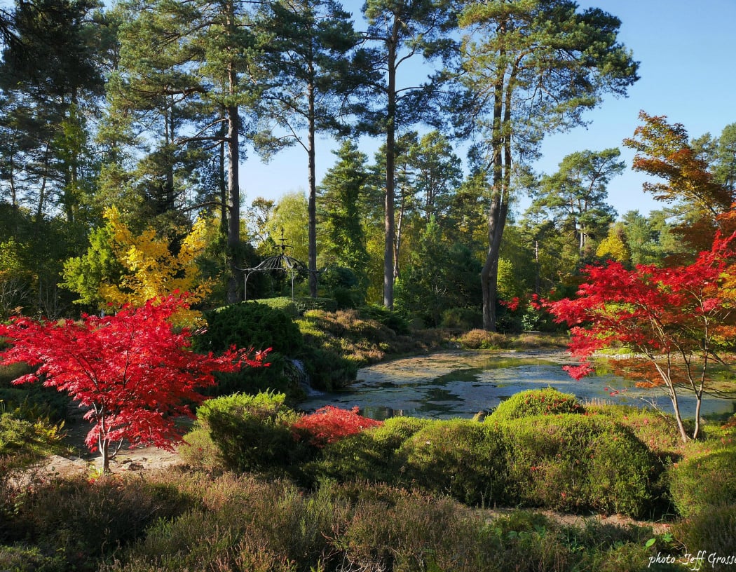 Arboretum des Grandes Bruyères 1