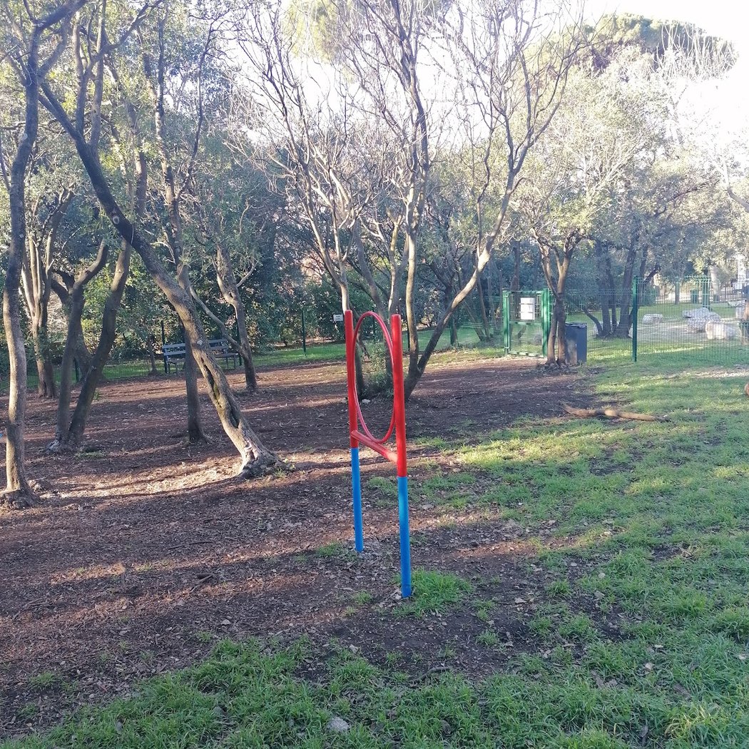parc à chien 2