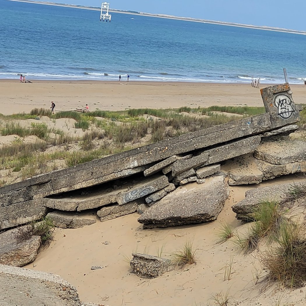 Violons sur le Sable 3