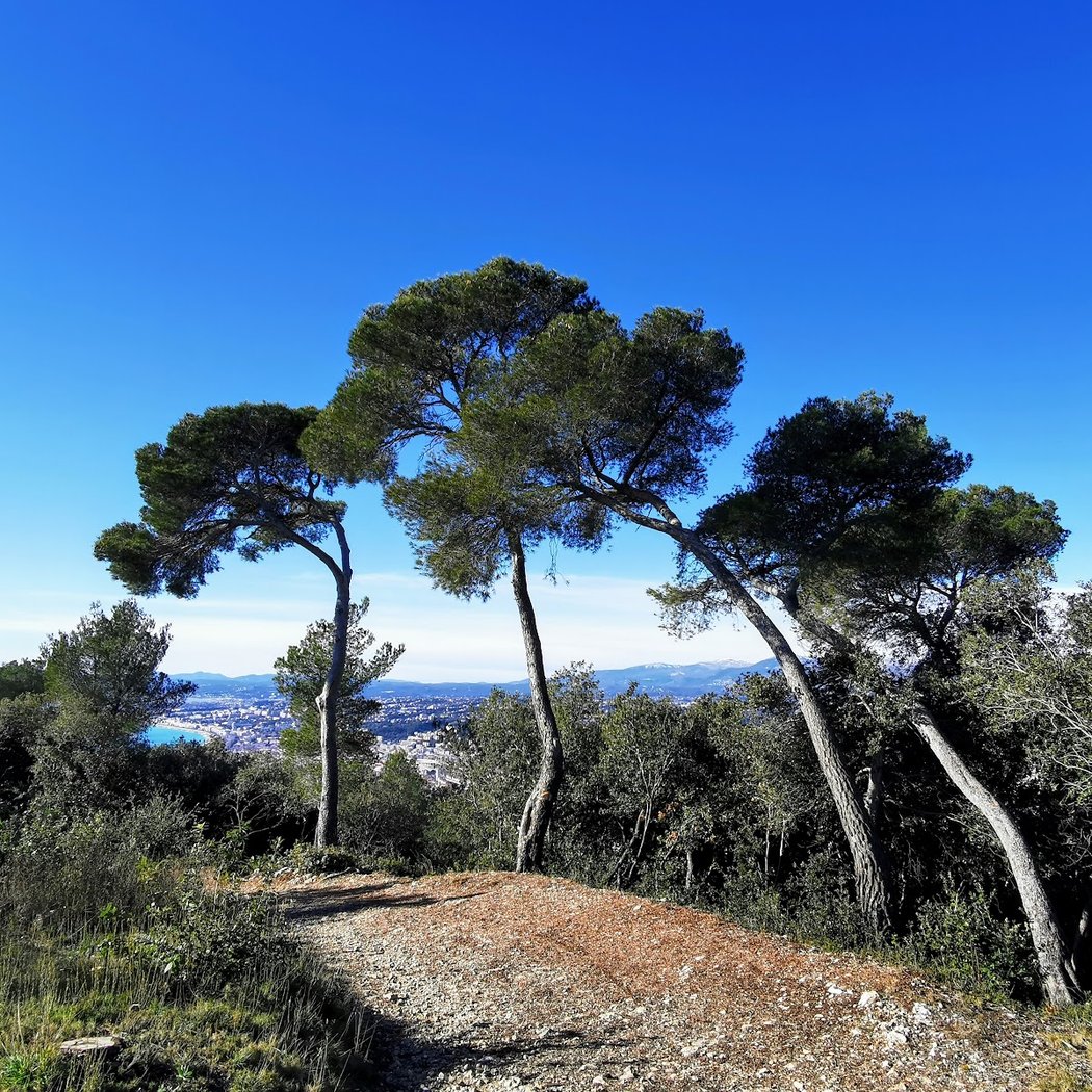 Parc du Vinaigrier 1