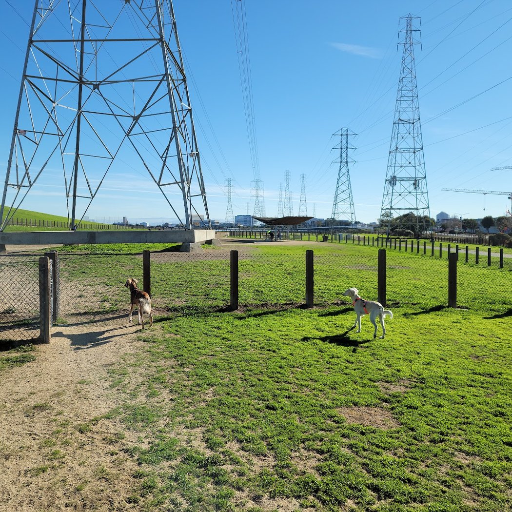 Dog Park | Seal Point Harbor 2