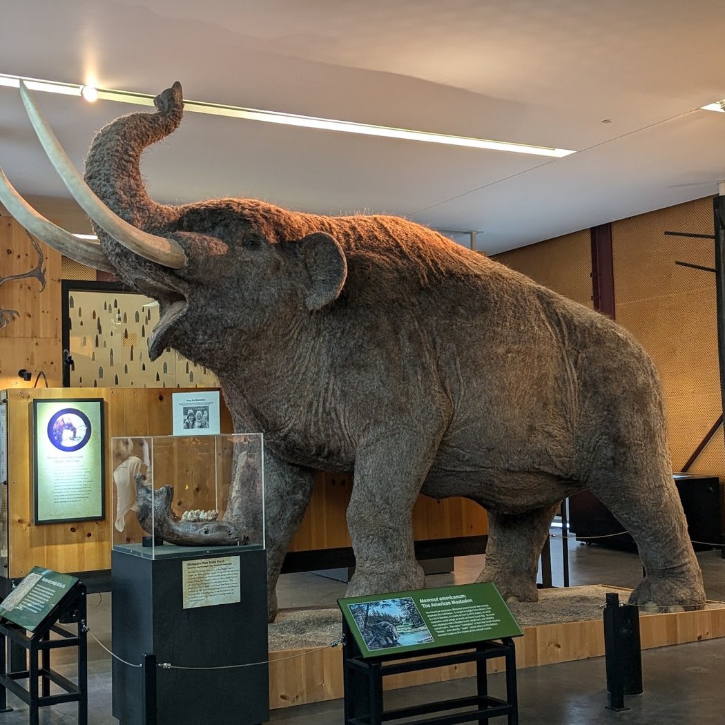 Free First Friday At Cranbrook Institute of Science 2