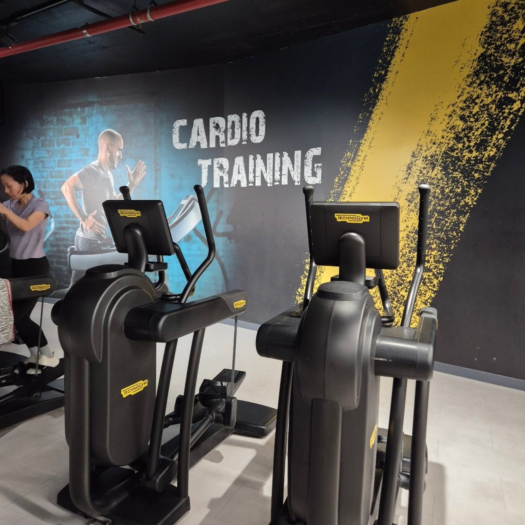 Body Cardio 3