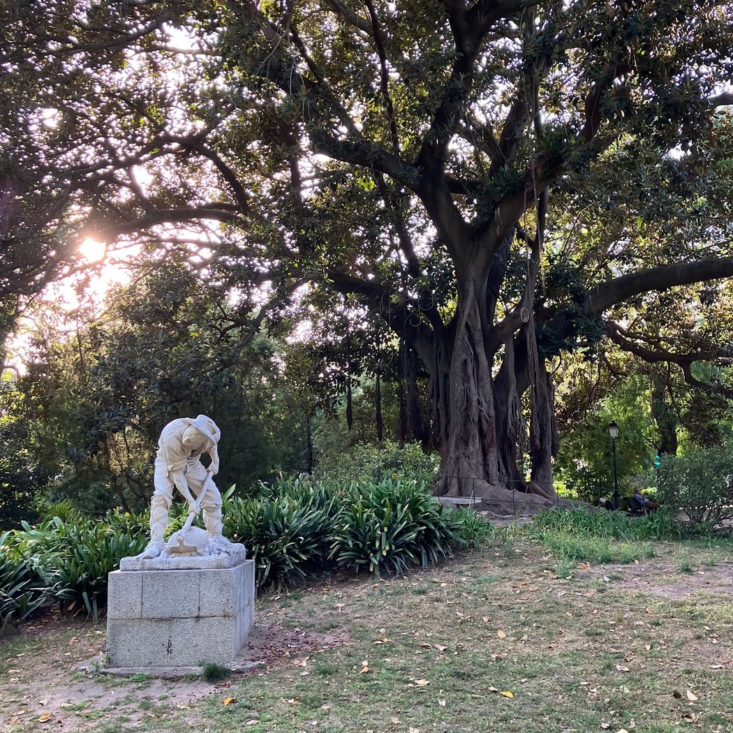 Jardim da Estrela 3