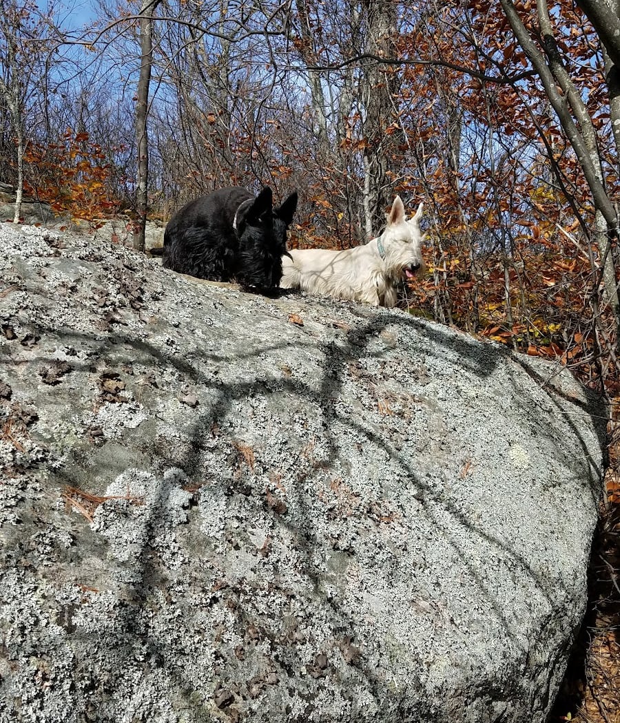 Moxham Mountain 3