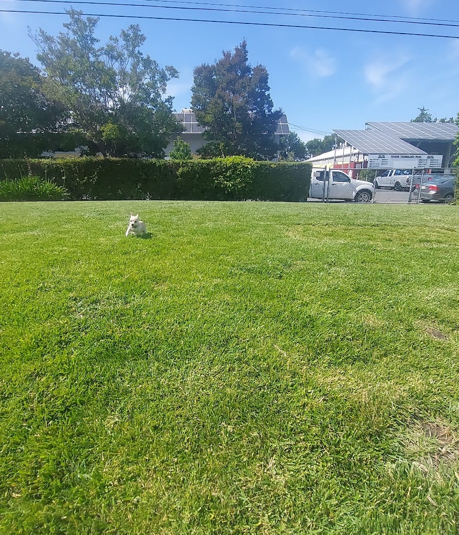 North Fair Oaks Community Park 3