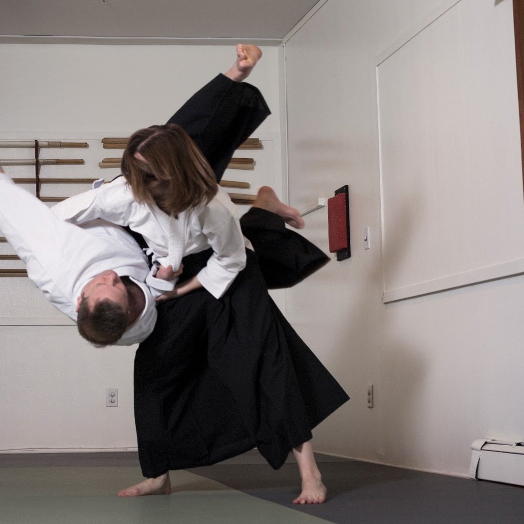 Aikido of South Brooklyn 1