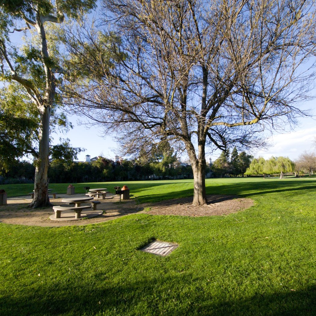 Lick Mill Park 1