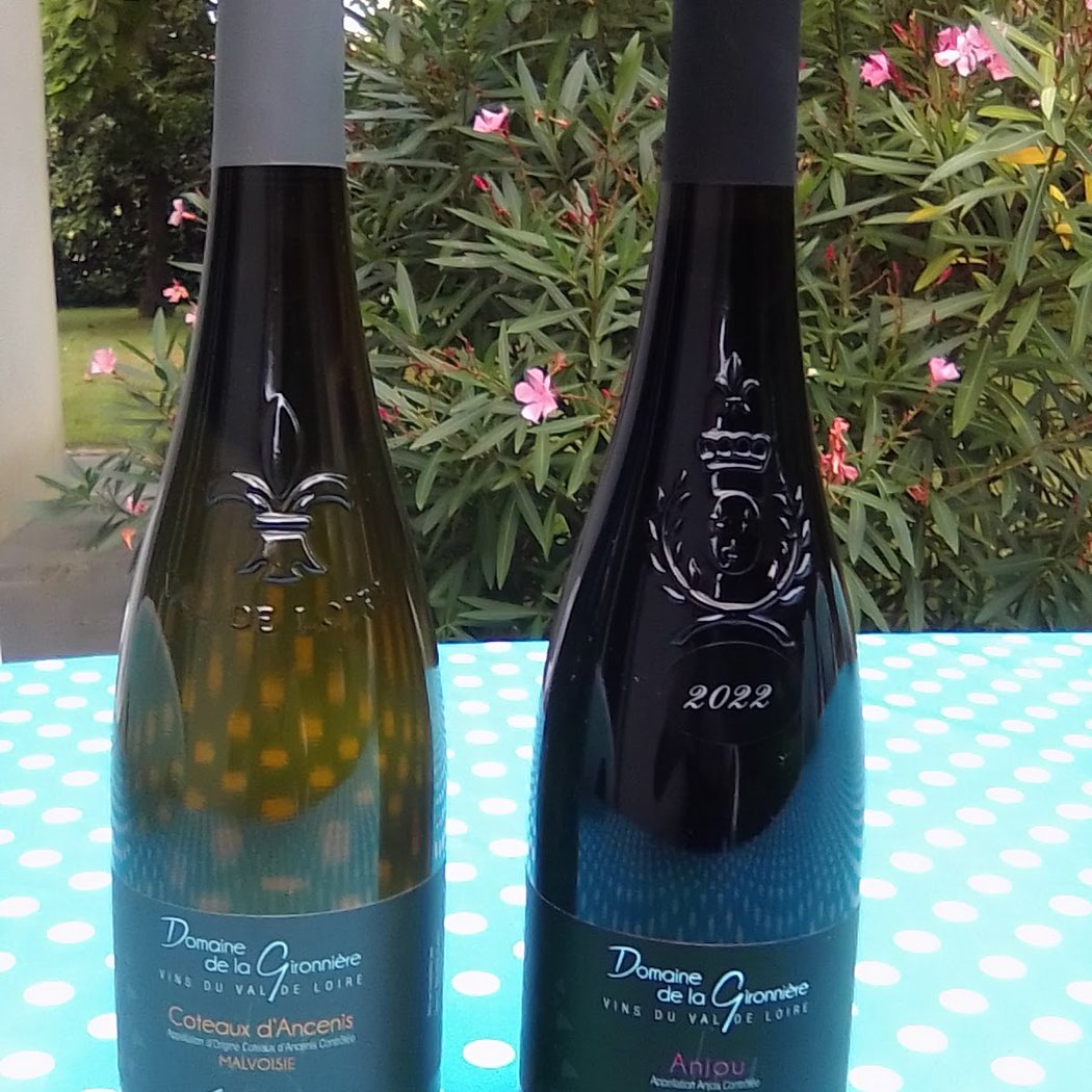 DOMAINE DE LA GIRONNIERE 3