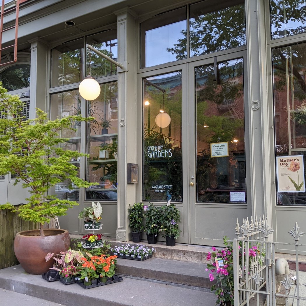 Geometry Garden & Floral Shop 2