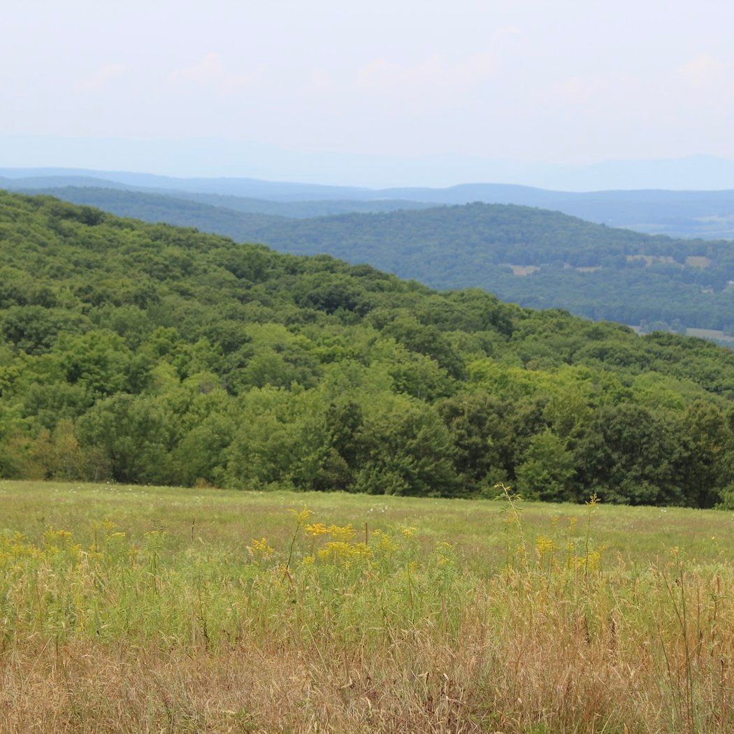 Overmountain 2