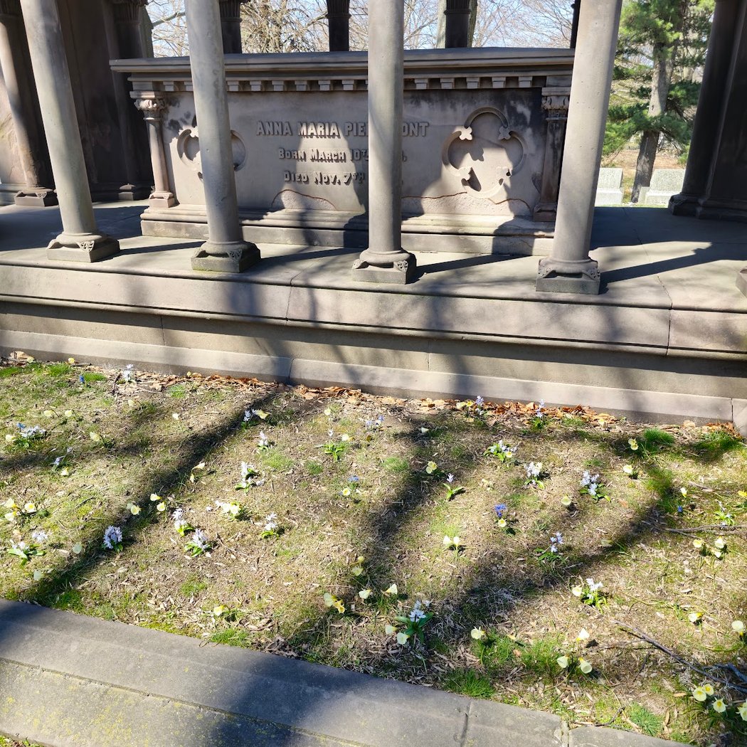 Pierrepont Monument 3