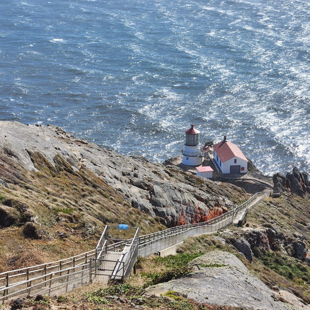 Point Reyes Birding & Nature Festival 3