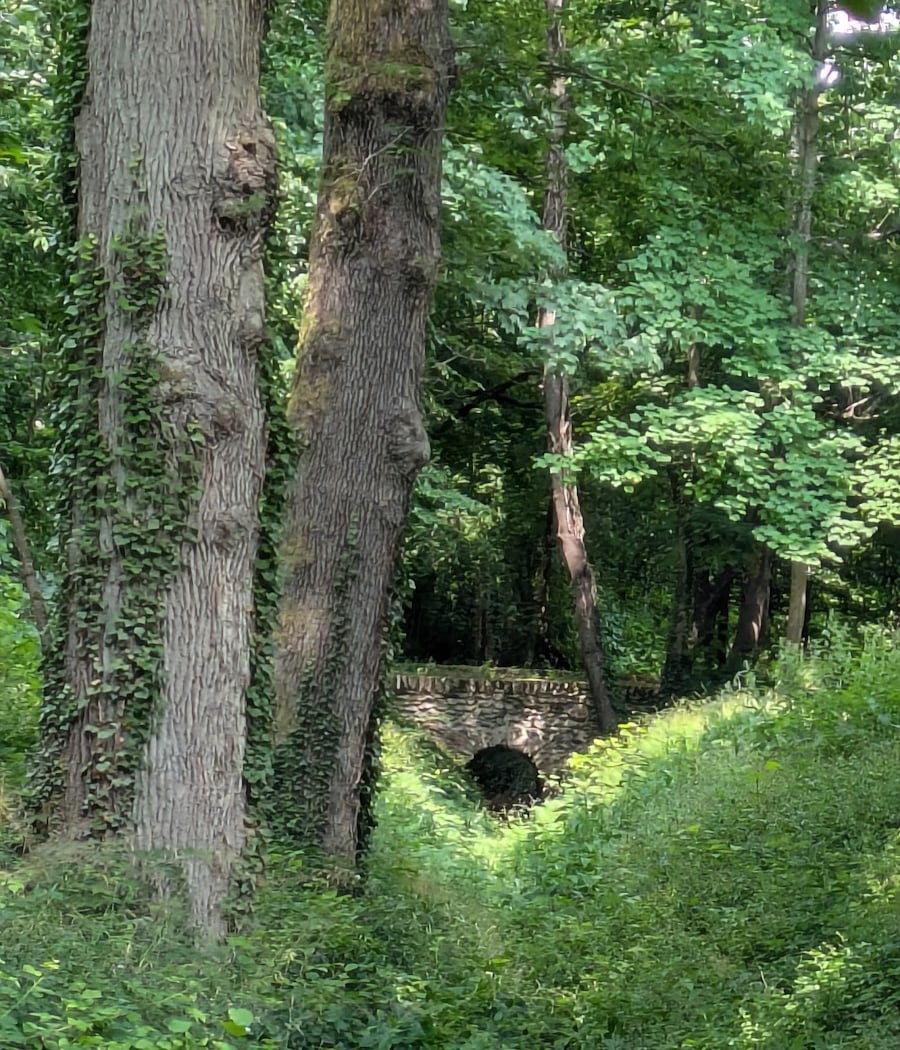 Sentier des Treize Ponts 1