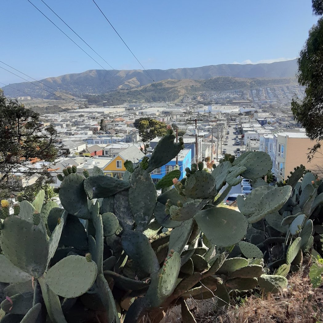 Visitacion Valley Greenway Children's Play Garden 3